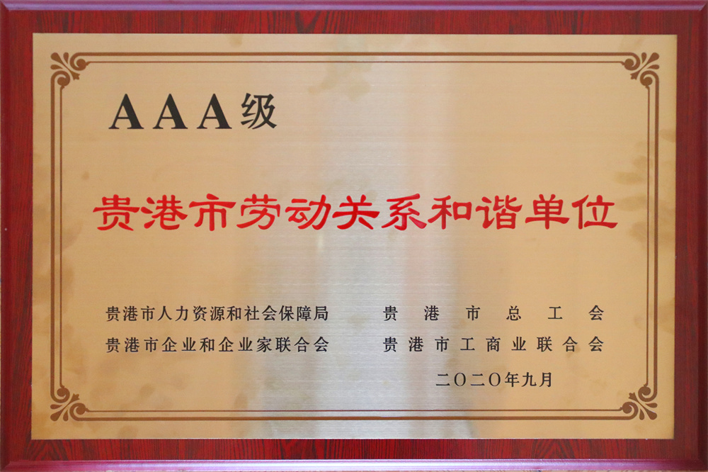 11.2020年度貴港市勞動關系和諧單位.jpg